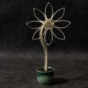 Image of Bee-Eater Skella-Daisy