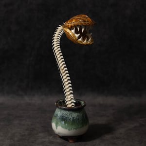 Image of "Carnivorous Bloom" 01