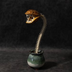 Image of "Carnivorous Bloom" 01