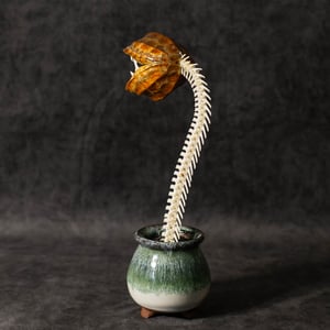 Image of "Carnivorous Bloom" 01