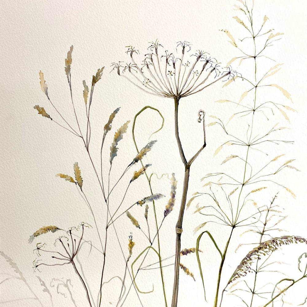 Image of Tall Grasses
