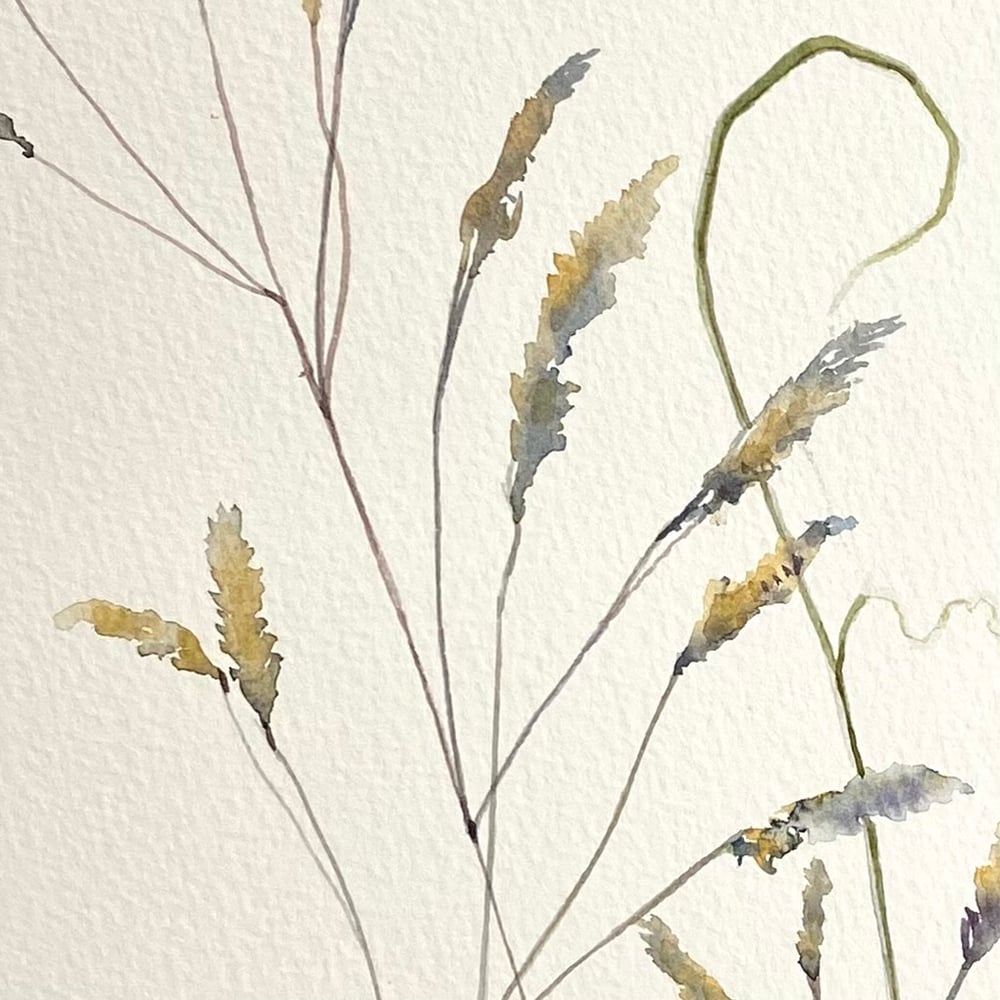 Image of Tall Grasses