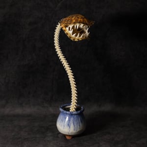 Image of Carnivorous Bloom 02