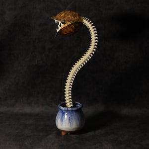 Image of Carnivorous Bloom 02