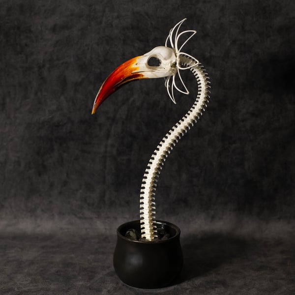 Image of Zazu Skella-Daisy