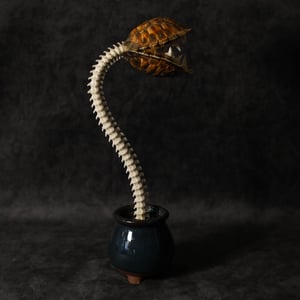 Image of Carnivorous Bloom 03