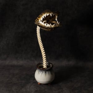 Image of Carnivorous Bloom 04