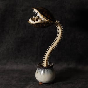 Image of Carnivorous Bloom 04