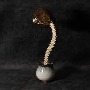 Image of Carnivorous Bloom 04