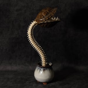 Image of Carnivorous Bloom 04