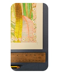 Image 3 of A3 - PINK SKY PEACOCK - SUPER SECONDS FESTIVAL