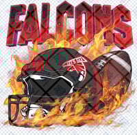 Falcons Hemlet Football Team 