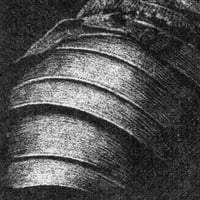 Image 3 of Portrait de Niccolò Salvatori