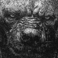 Image 3 of Portrait de Orkhay Talgor, Grifflige de Kharkun