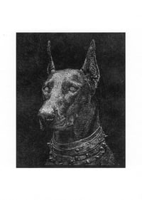 Image 2 of Portrait de Cesco