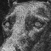 Image 3 of Portrait de Cesco