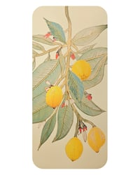 Image 2 of A3 - BOTANICAL LEMONS - SUPER SECONDS FESTIVAL SALE