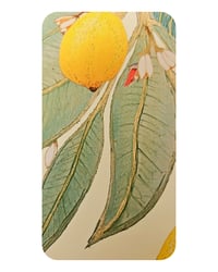 Image 3 of A3 - BOTANICAL LEMONS - SUPER SECONDS FESTIVAL SALE