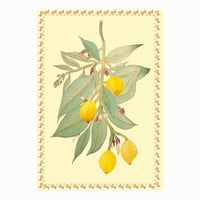Image 5 of A3 - BOTANICAL LEMONS - SUPER SECONDS FESTIVAL SALE