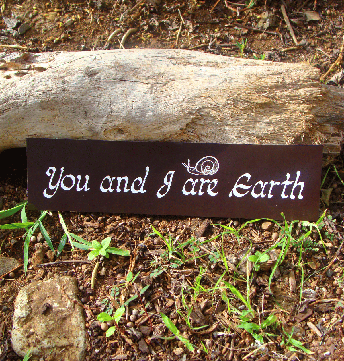 You And I Are Earth Bumper Sticker 🌿