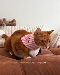 Image 2 of BANDANA | XOXO