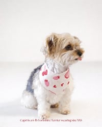 Image 3 of BANDANA | XOXO