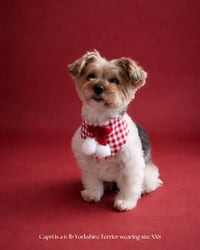 Image 2 of BANDANA | Amore