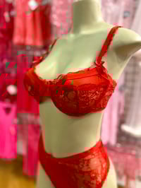 Image 3 of Red Bra & Panty Set