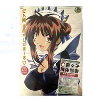 Amazing Nurse Nanako B2 Poster