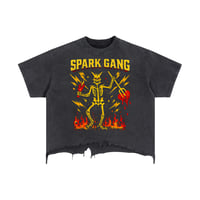 Image 1 of ONYX GRAPHIC