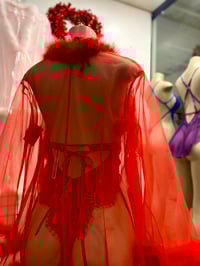 Image 2 of Short Feathered Robe