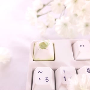 Image of 【Eirys】-Pear Green