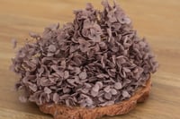 Preserved Hydrangeas - 15g Coffee