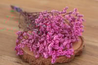 Image 1 of Crystal Flower - Pink