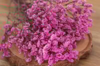 Image 2 of Crystal Flower - Pink