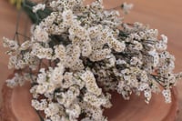 Image 2 of Crystal Flower - White/Green