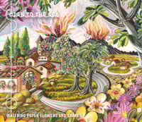 Open To The Sea ‎'Watering Paper Flowers And Snakes' 2CD