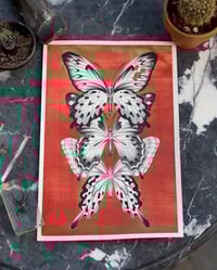 Image 1 of Butterflies - Original Artwork