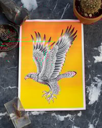 Avian Raptor - Original Artwork