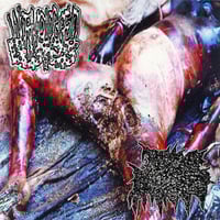 Wormclogged Blisters / Bile Ducts - Split CDr