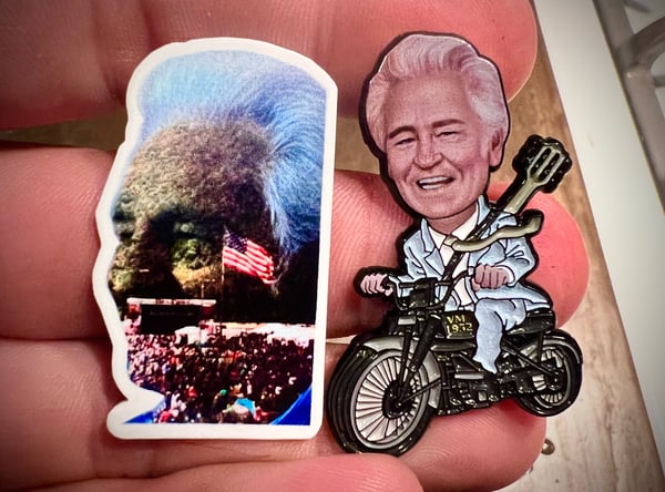 Image of DELFEST 2024 PINS