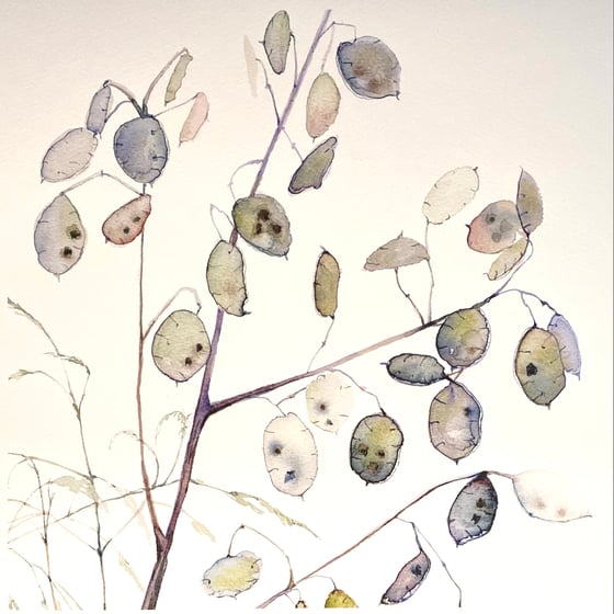 Image of Winter Honesty 2