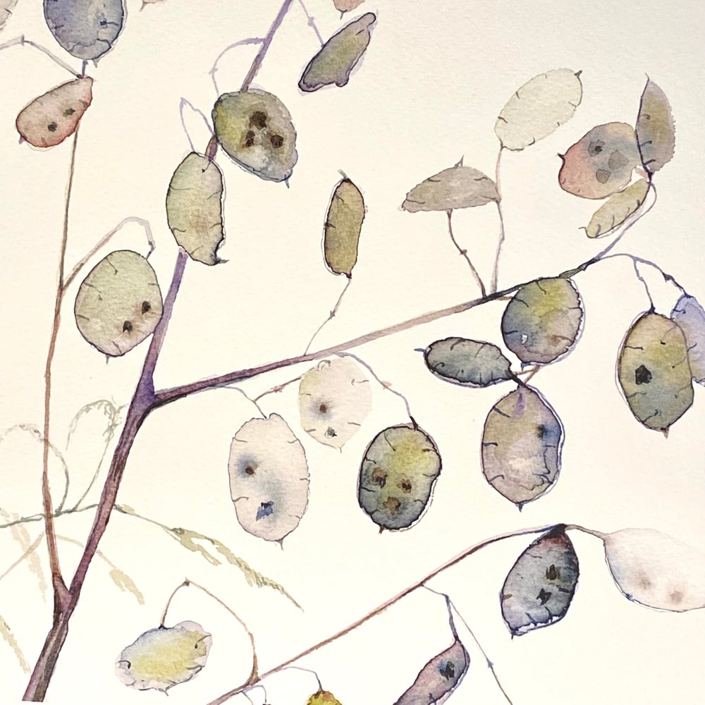 Image of Winter Honesty 2