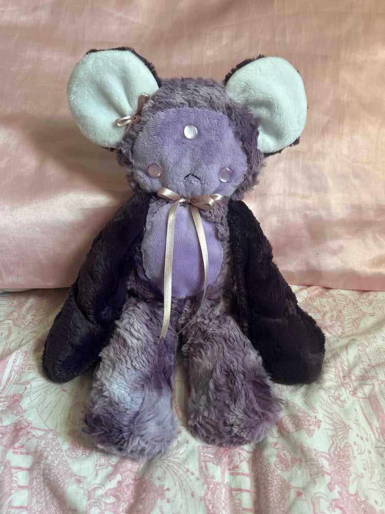 Image of astra the mouse