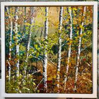 Image 2 of 'Changing Seasons'