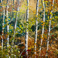 Image 4 of 'Changing Seasons'