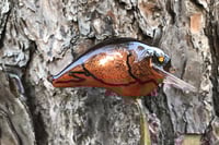 Image 6 of Custom Airbrushed S-CRANK 1.5 Squarebill Crankbait 7549