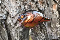 Image 7 of Custom Airbrushed S-CRANK 1.5 Squarebill Crankbait 7549