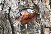 Image 4 of Custom Airbrushed S-CRANK 1.5 Squarebill Crankbait 7549