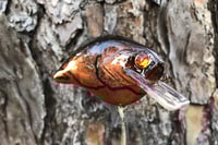 Image 5 of Custom Airbrushed S-CRANK 1.5 Squarebill Crankbait 7549